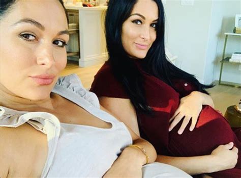 nude sis|Brie & Nikki Bella Go Completely Nude for Joint Maternity Shoot